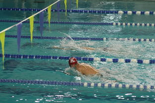 AC米兰-国际游泳精英赛中国队多人破纪录，国际游泳冠军系列赛