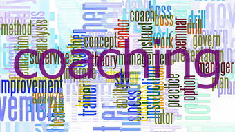 米兰体育网页版(官方}-法甲球队融合情绪管理提升球员比赛应激反应能力