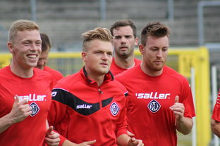 米兰全站app登录app-英超球队边路防守压迫与对手传中成功率之间的对比研究，英超十佳防守