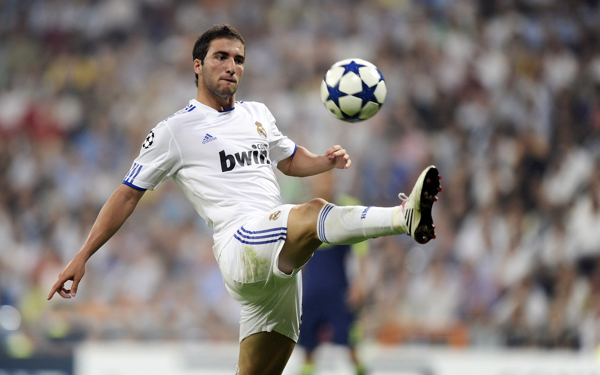 亚洲杯国家队惨败 球迷呼吁调整战术，亚洲杯情况