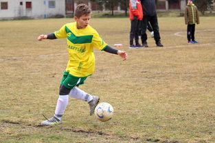 米兰体育官方网址入口-中国足球联赛中球员体能标准提升策略，中国足球联赛中球员体能标准提升策略包括